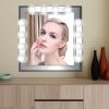 Vanity Strip Light 24 LEDs Strip Light Makeup Mirror Light Bar w/Suction Cup Polished Chrome Daylight White