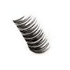 10 Pair False Eyelashes