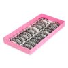 10 Pair False Eyelashes